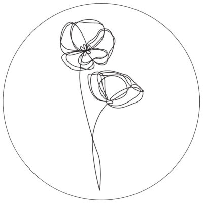 1viool-1lijn-30cm.jpg