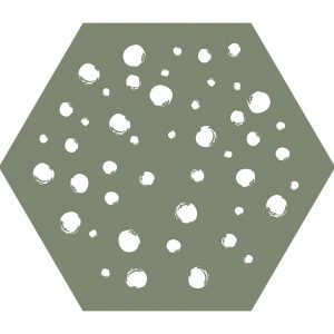 lDots-hexagon-groen.jpg