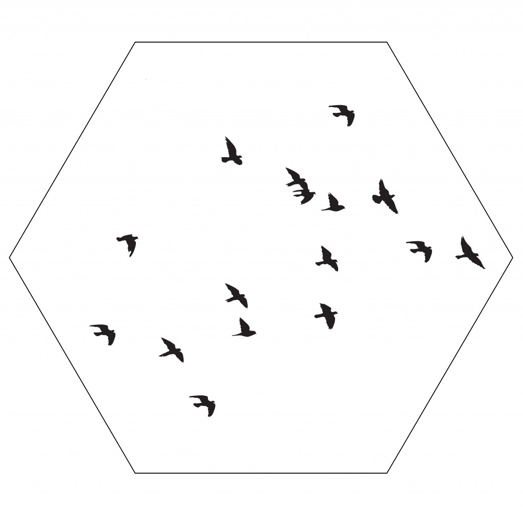 lag-rees-birds-hexagon-30cm.jpg