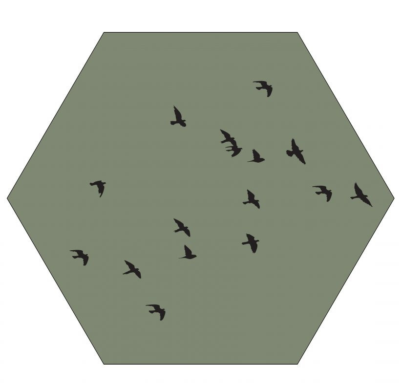 Muur hexagon olijfgroen birds LabelR