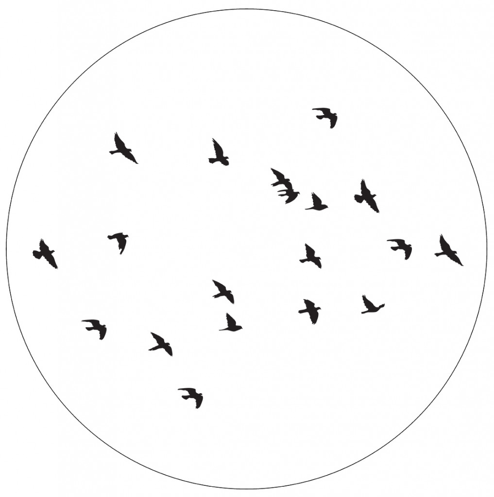 lage-res-birds-cm-1.jpg