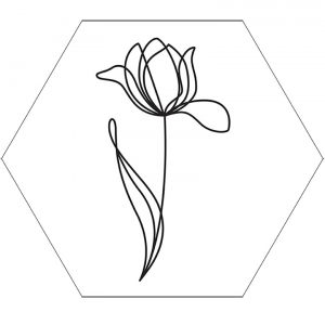 tulp-1lijn-wit-hexagon-5.jpg