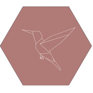lr-kolibrie-rose--hexagon.jpg