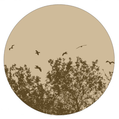 birds-40cm.jpg
