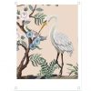 lr-tuinposter-interieurposter-polaroid-kraanvogel.jpg