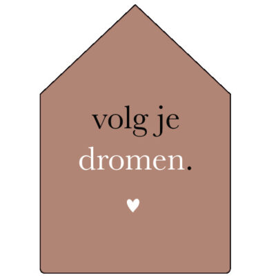 -lr-20cm-huisje-volg-je-dromen-terra.jpg