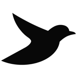 vogeltje-zwart--20cm.jpg