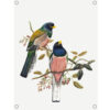 lr-tuinposters-birds.jpg