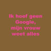 google-vrouw-20-tegeltje.gif